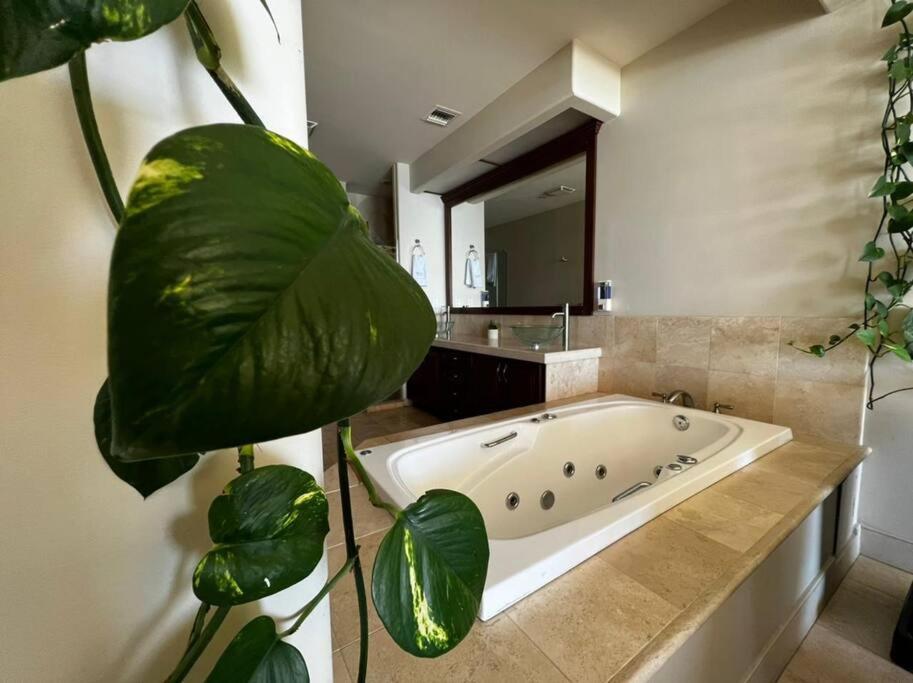 Access - Beach Penthouse Papas And Beer 2 Miles Wifi Rosarito Bagian luar foto